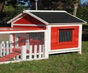 Chicken Coop with Run