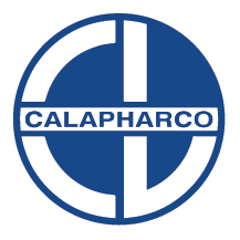 Company icon