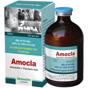 Amocla