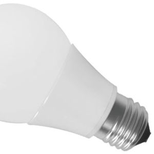LED Light Bulb