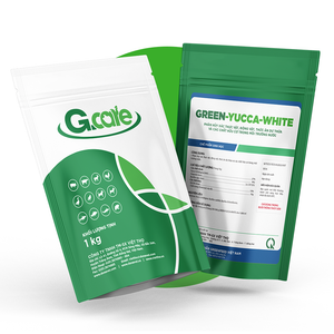GREEN-YUCCA-WHITE