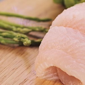 pangasius fish