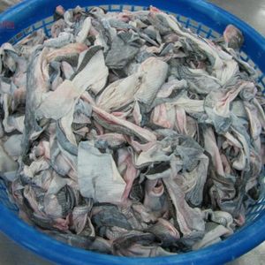 Pangasius skin