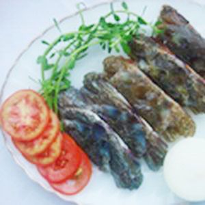 Frozen Seafood