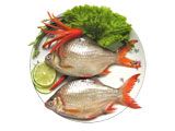 fish