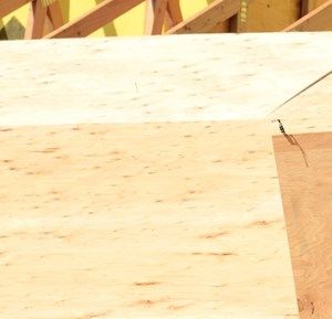 wood adhesives