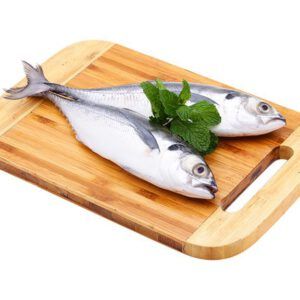 Mackerel fish