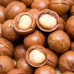 macadamia nuts