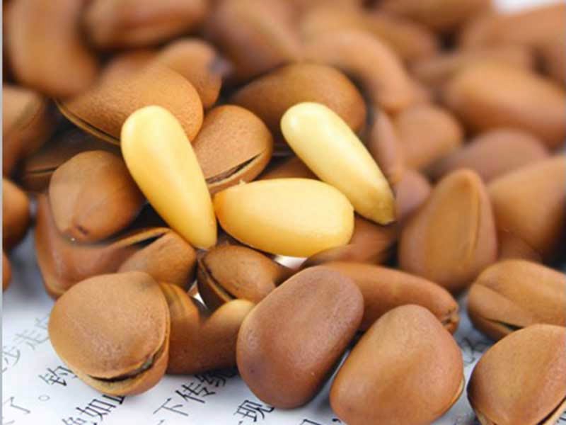 Pine nuts