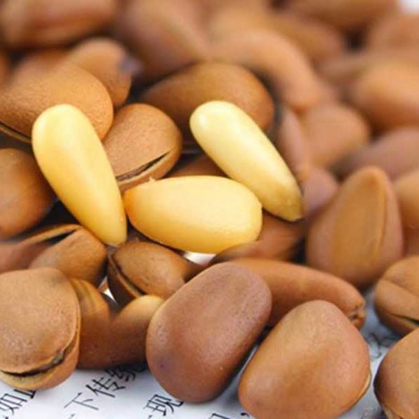 Pine nuts
