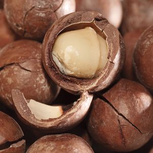 macadamia nuts