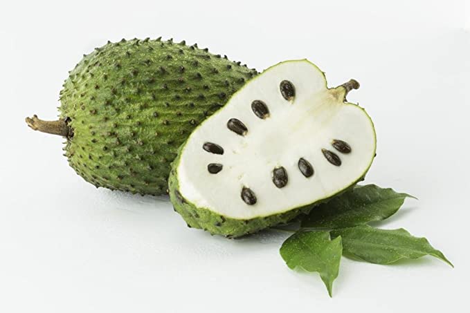 Fresh Soursop Fruit/ Graviola Fruit