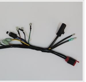 Wire Harness