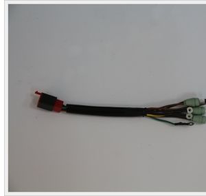 Wire Harness