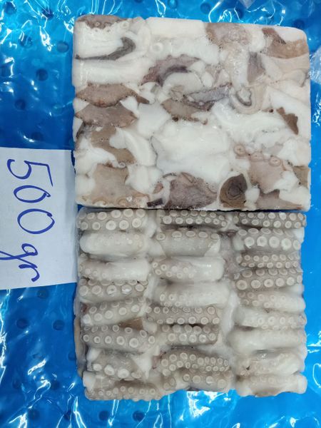 Frozen baby octopus