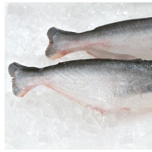 Frozen Pangasius Butterfly