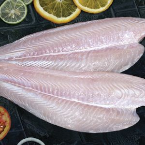 Frozen Pangasius Fillet