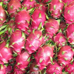 Dragon Fruit