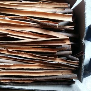 Split cassia