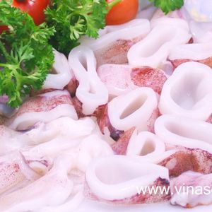 Squid
