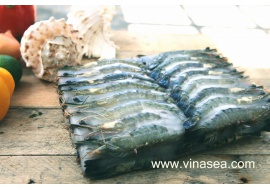 Frozen black tiger shrimp