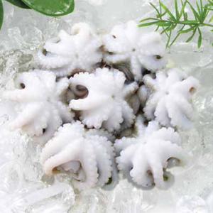 Whole octopus