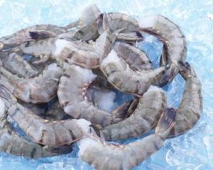 Black tiger shrimp