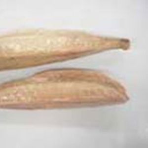 Tuna loin