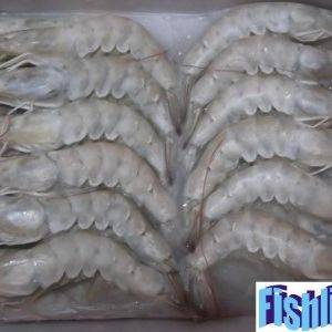 HOSO VANAMEI -FROZEN