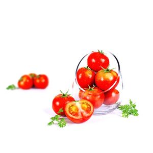Tomato