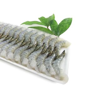 PTO shirm tray