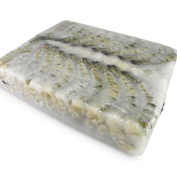Block frozen shirmp
