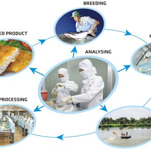 Frozen seafood products
