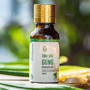 Ginger essential oil