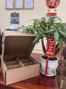 Custom cardboard box