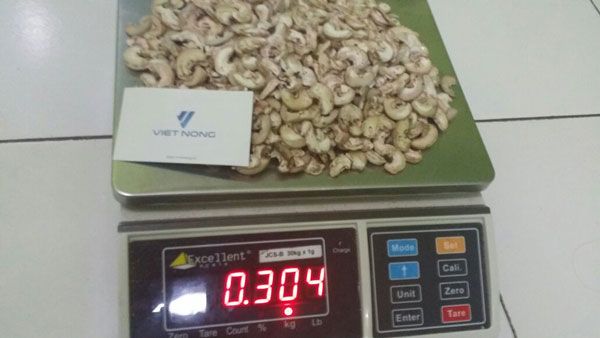 Cashew Nuts
