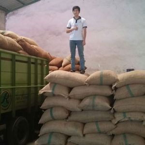 Cashew Nuts
