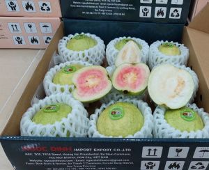 FRESH GUAVA