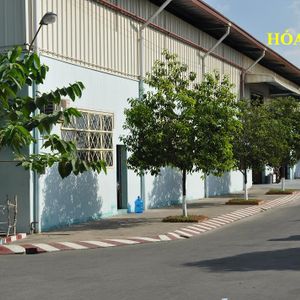 Binh Tri Chemical Plant