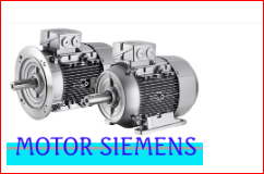 Electric motor
