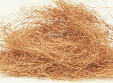 Coconut Fiber