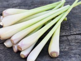 Lemongrass