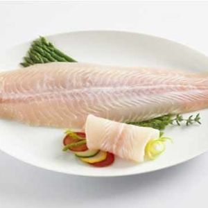 Tilapia Fillet