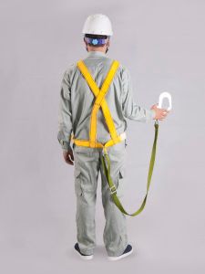 Safety Harness