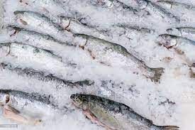 Frozen Fish
