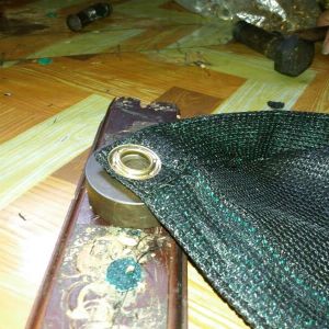 Manufacturing activity