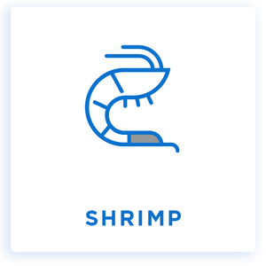 Shrimp