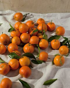 Tangerines