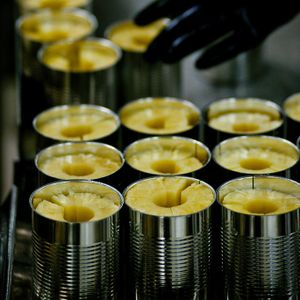 Canned Pineapple