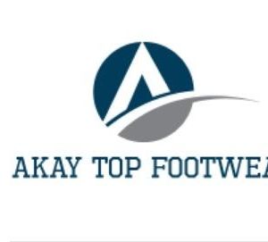Company icon